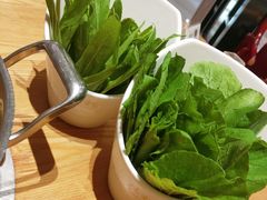 -掂档潮汕牛肉火锅(沈阳万象城店)