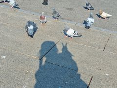-大连人民广场