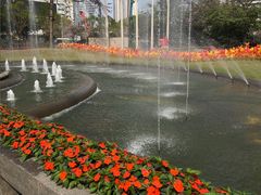 -广州花园酒店