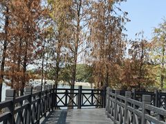 -海珠湖公园