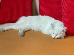 -雕刻时光·咖啡·酒吧·西餐(香山店)