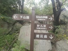 -阳台山自然风景区