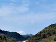 -武陵山森林公园