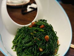 -靖远尕六美味羊羔肉