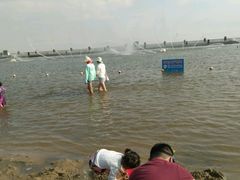 -碧海金沙