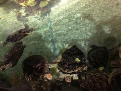 -福州罗源湾海洋世界旅游区
