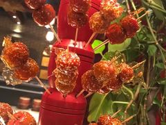 糖葫芦-宝泉铜锅·涮羊肉(解放东路店)