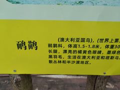 -泉州海丝野生动物世界