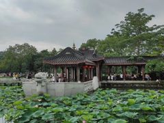 -惠州西湖丰渚园