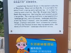 -东郊椰林