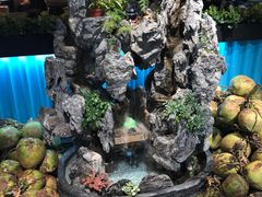 -东椰·海南椰子鸡火锅(朝阳门店)