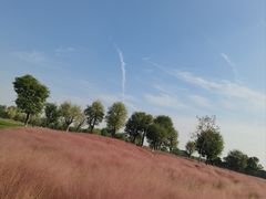 -汉长安城未央宫国家考古遗址公园