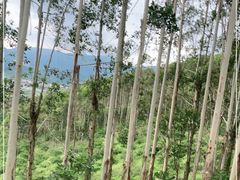 -古山重-长泰滑翔伞基地