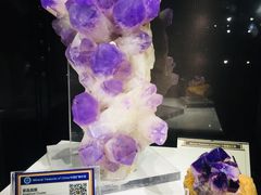 -中国地质大学逸夫博物馆