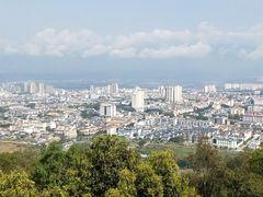 -瑞丽独树成林风景区