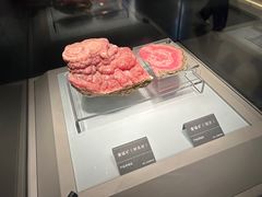 -安徽省地质博物馆
