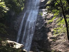 -陕西省红河谷森林公园