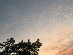 -姚记东北菜(金山店)