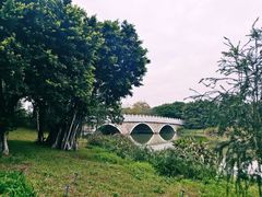 -海珠湖公园