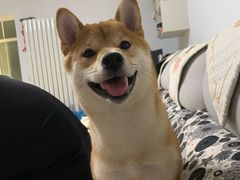 -乐宠动物医院