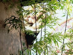 -湘邻呷铺·田园家宴(汉基广场店)