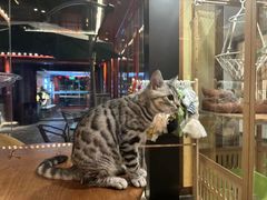 -府学·秋果S酒店(北京南锣鼓巷四合院店)