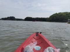 -上海海湾国家森林公园