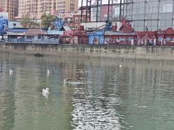 -星海水上乐园(星海广场圣亚店)