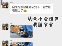 -泰洋动物医院·神经专科·磁共振·CT(天河公园总院)