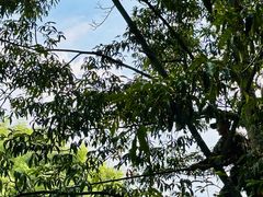 -东天目山风景区