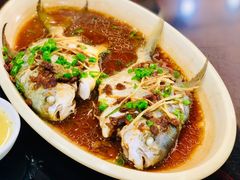 豆酱蒸海鱼-刘记糟粕醋海鲜烧烤