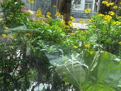 -尼玛藏家风味园(阿山食城店)