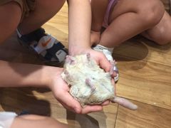 -藦茜花园宠物主题亲子互动体验馆(国顺东路店)