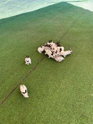 -萌宠亲子动物乐园(槐房万达店)