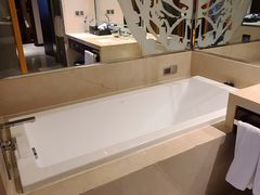 -成都明宇丽雅饭店