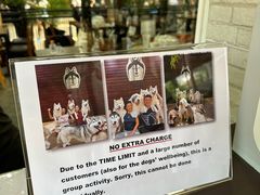 -TrueLove @ Neverland (Husky Cafe)