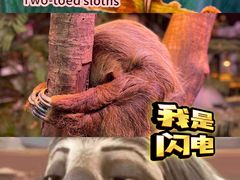 -正佳雨林生态植物园