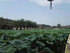 -渭南桃花源民俗文化园