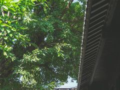 -白帝城·瞿塘峡景区