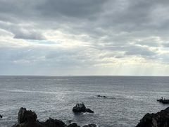 -涉地可支