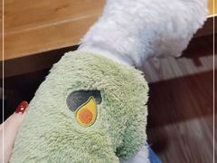 -伽利略剧本探案馆(国贸店)