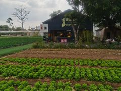 -光明小镇欢乐田园