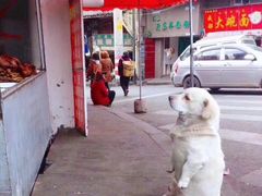 -谭鸭血老火锅(万象九宜城店)