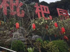 -伴山茶苑·围炉煮茶