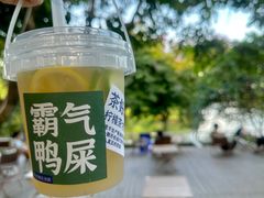 -海珠湖公园