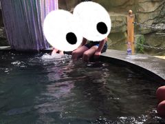 -北苑汤泉