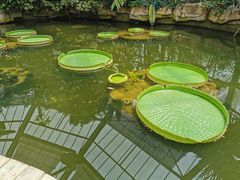 -华南国家植物园-售票处