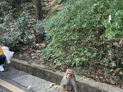-黔灵山公园