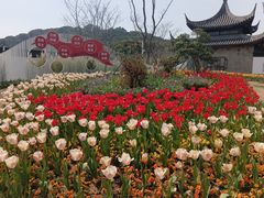 -苏州上方山国家森林公园