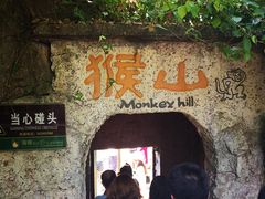 -海南热带野生动植物园